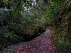 逗子、横須賀、葉山の登山