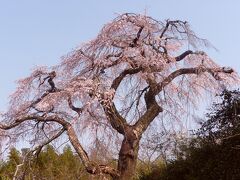 木津・加茂の旅行記