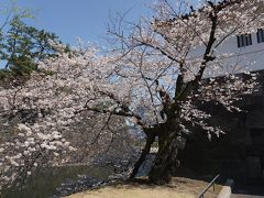 皇居乾通り春の一般公開(桜)2018