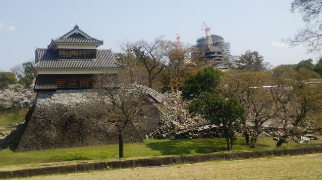  人吉市と熊本市の神社をまわって御朱印をいただきました。