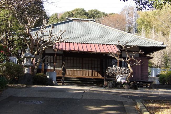 　横浜市港北区新羽町にある蓮華寺は新義真言宗のお寺で新照山蓮華寺という。創建年代等は不詳ながら、新編武蔵風土記稿によると、朝譽（ちょうよ）が永禄年間（1558年～1570）に開山したと伝えられている。本尊は大日如来である。<br />　参道左に薬師堂がある。薬師堂に安置されている薬師如来立像は恵心(えしん)作と伝えられ、高さ8寸（約24センチ）程である。都筑橘樹十二薬師霊場１番札所である。他の礼所は12年に一度だけ寅歳の春に御開帳が行われるが、１番札所である蓮華寺では毎年7月8日に薬師如来像の姿を拝観することができる。眼病にご利益があるとされるお薬師さまである。<br />　本堂前には左右にサルスベリが植えられている。<br />（表紙写真は蓮華寺本堂）