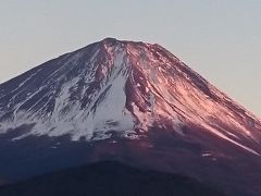 初めてのお正月家族旅行で、皇居一般参賀と精進湖の富士山