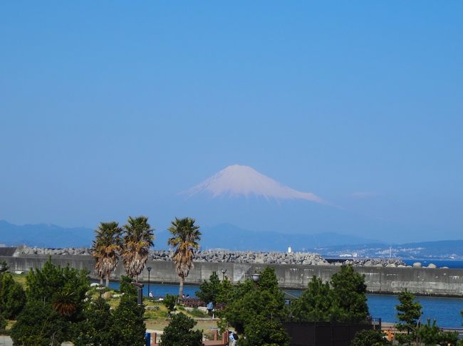 焼津日帰り旅～息子部活の応援で～