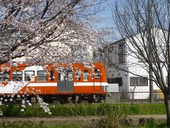 流鉄沿線で花見がてらちょっこと撮り鉄？？　２０１８