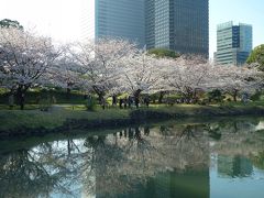 見頃前だろうが満開過ぎだろうがSundays only(泣) 都営まるごときっぷでお花見 in 旧芝離宮