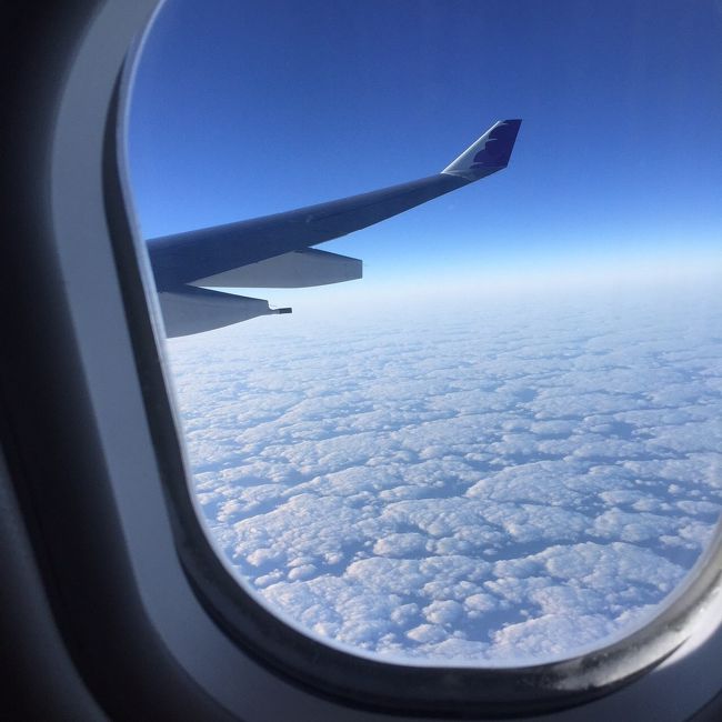 職場の慰安旅行でGo Goハワイ!<br />関空夜発ハワイアン航空で行く3泊5日の旅行です♪<br /><br />旅行会社→HIS<br />航空会社→ハワイアン航空<br />ホテル→ハイアットリージェンシーワイキキ<br />通信環境→GLOBAL Wi-Fi<br /><br />1day☆仕事終了後に関空へ。21時発で機内泊⇒9時にハワイへ←Here!<br />2day☆HISのオプションツアーでプライベートビーチ&ショー<br />3day☆ダイヤモンドヘッド登頂でサンライズ&ホエールウォッチング<br />