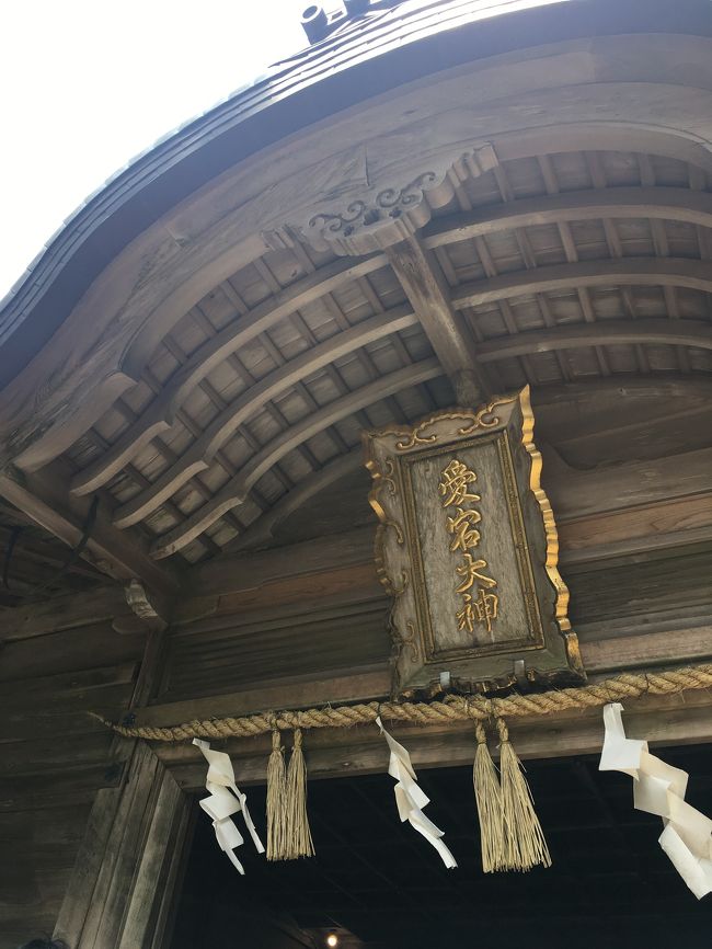 お札を頂きに<br /><br />嵐山から清滝行きのバスで。<br />帰りのバスが少ないので時間を確認して登るべきでした!<br /><br />初心者コースという事ですが、なかなかハードです。<br />お参りと、お札を頂きに行く目的でしたが、立派な山登りでした!<br />靴はトレッキングシューズを履いて行けばよかったと後悔しました。<br />