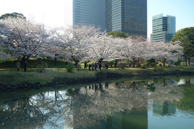 元々PHOは同じ所へ何度もリピするのは好みじゃないんだよね。だから、毎年巡って来る桜や紅葉シーズンは何処へ行こうか思案する羽目になる。近隣の交通費が安く済む(しつこいけど、此処とっても大事)名所なんかとっくに廻っちゃってるからさ。<br />しかも今年は例年に無く開花が早く、準備期間も無いうち、って何しろ週半ばに都内でさえ雪降っちゃって、見頃予想がしっちゃかめっちゃか★のうちに満開間近メールが届いたり。<br />年度末だからって訳じゃないけど、まだ満開前とは判っていても、行ける日に行っとかないと行きそびれる可能性大だからね。<br />で、芝離宮を選んだのは何故かって言うと、今まで行った事無い所なのは勿論なんだけど、都営まるごときっぷを持ってたからね。そう、余分な交通費が要らない、これに尽きる。<br />まるごと、つまり都バス、都営地下鉄、都電荒川線(今は東京さくらトラム)、日暮里舎人ライナーのどれでも好きなだけ乗れるって凄くね？だもんで、この日は全部乗ってみた。<br />都内北東部から東京23区を縦断するように都営交通を乗り継いでやって来た芝離宮。こんな手間かけたのは3月31日で切れちゃう無料入場引換券持ってたからって言うのが決め手なんだけどさ。閉園1時間前は予想通り混雑無し☆<br /><br />さて、旧芝離宮恩賜庭園とは、やっぱりWikipediaが詳しいかな。<br />https://ja.wikipedia.org/wiki/旧芝離宮恩賜庭園<br />