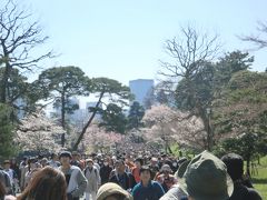 皇居乾通りの花見