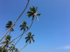 南アジア縦横断の旅（2）Sli Lanka《ヒッカドゥア。常夏ON THE BEACH》