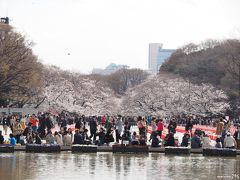 パンダもビックリ！？ 上野公園と東博のお花見