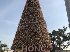 クリスマス香港～最終日も食べる！