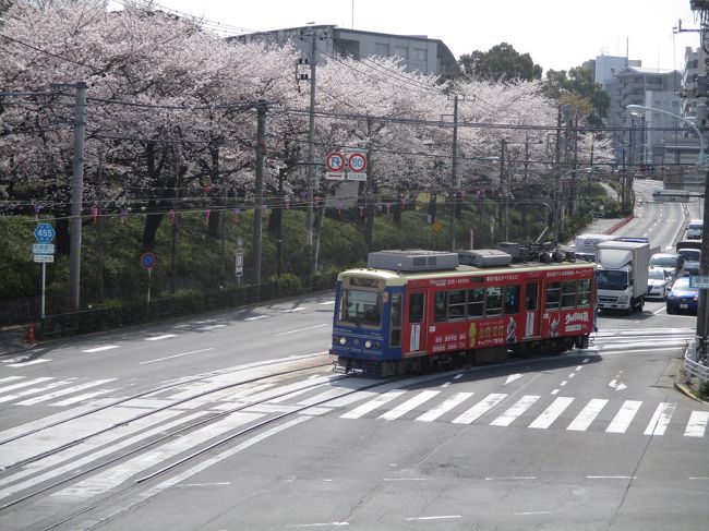 2018年3月　桜（王子、九段下）