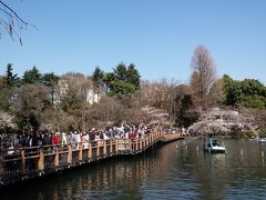 心の安らぎお散歩（2018年　吉祥寺　井の頭公園をお散歩 ）