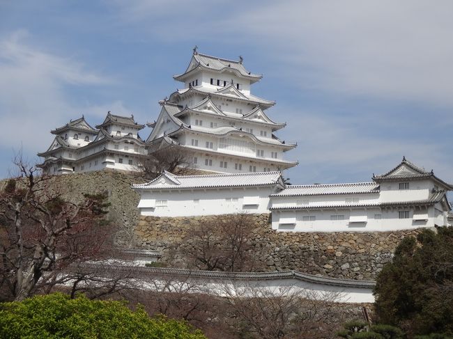 今年は桜の開花が早いとニュースで聞いて、青春18キップで姫路城に行って来ました。大垣と米原間は陸の孤島と言われるぐらい不便です。早朝と夜遅くは豊橋がら米原行きがある為、朝早く姫路に行きました。１１時頃着いた為、駅近くの回転ずし店力丸に入りました。正解でした。昼頃は順番待ちの人でいっぱいでした。お寿司も、愛知県の回転寿司より新鮮で美味しかったです。アナコ゜寿司に、カンバチ、タイなど頂きました。姫路城は桜がまだ早くちょとガッカリです。来週は平安神宮の紅しだれを観に行く予定です。