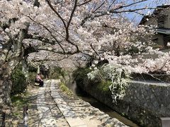 桜散歩　哲学の道～南禅寺三門～水路閣～インクライン～岡崎疎水　高瀬川～祇園白川