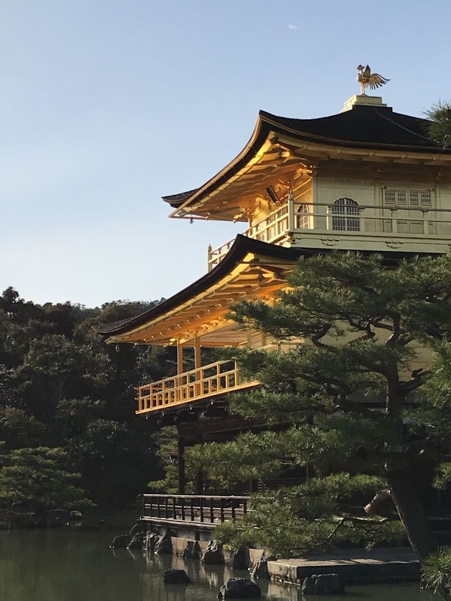 京都は、何度来ても飽きない街。<br />今回は、どこ行こうか迷った末にいつか行こうとまだ一度も訪れていない、世界遺産の二条城、そして修学旅行以来2度目となる金閣寺へ。<br />大阪からは、電車で移動で、京都駅裏にあるさくらテラスギャラリーに一泊。思った以上に満足。<br />荷物を、置いてからランチに祇園へ、、