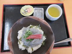 日本桜の名所100選”高知県立鏡野公園”に花見～安芸しらす食堂で昼食