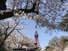 桜と東京タワーと増上寺