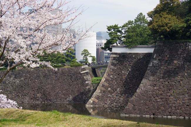 皇居乾門通り抜け そして千鳥ヶ淵と靖国神社 桜の三種盛り 丸の内 大手町 八重洲 東京 の旅行記 ブログ By ミズ旅撮る人さん フォートラベル