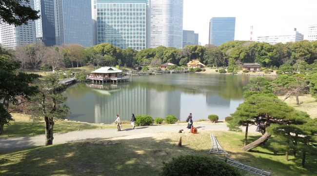 徳川将軍家の庭園・・潮入の池と鴨場を持つ、浜離宮恩賜庭園をめぐります。