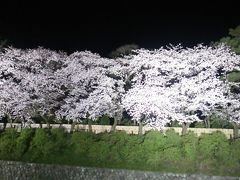 静岡プレデステネーションキャンペーン勝手に記念企画第３弾　2018.3.29　静岡の夜桜