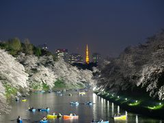 千鳥ヶ淵の幻想的な夜桜