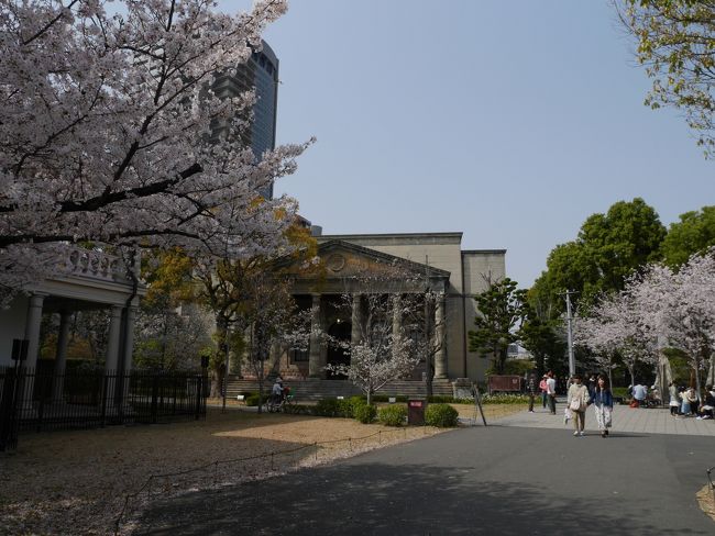 大阪城公園内にある旧陸軍施設が昨年10月からミライザ大阪城という飲食・お土産店としてオープンしたと聞き、以前から来たかったのですが、ちょうど桜満開の時期に訪れました。それから通り抜け期間ではありませんが造幣局の博物館にも行き、立派な桜を見ることができました。