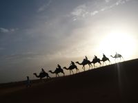 モロッコ５日目（砂漠ツアー終了→フェズへ移動）