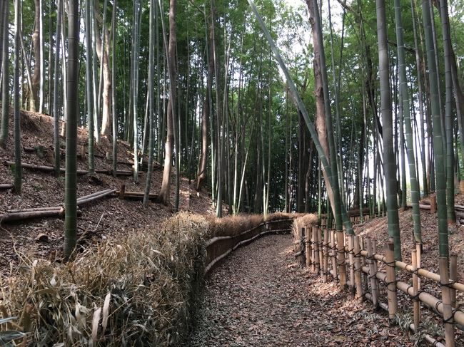 3月、花粉症に負けずに引き籠ってないで外に出て、地元横浜の小ネタ探しを行おうという事で、3/4滝頭の横浜市電保存館編(https://4travel.jp/travelogue/11336045)に続く第2弾となります。(何弾まで続く?という疑問には答えず。)<br /><br />実は横浜にも城跡があるみたいで、遺構として残されているのが4つ程あるらしく、そのうちの1つ小机城址が今回の小ネタターゲット。<br /><br />日本百名城から漏れた城がブーブー文句言ったのでしょうか、昨年「続・日本百名城」なるものが選定されたらしく、その中の一つとしてここが選ばれたとの事。まぁ特に続日本百名城だからといって、日本百名城スタンプのような制覇した時のご褒美のようなものはないのですが、まぁ近いんで行ってみました。<br />城址回った後は、港北インターの方まで歩を進めた所までをご覧いただければと思います。<br /><br />表紙の写真は竹林なんですが、れっきとした城址です。