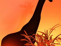 世界らん展-5　《ふしぎなアフリカの蘭たち》特別展示　☆光と闇の演出効果も