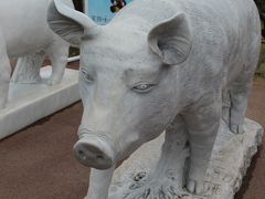 【B級県南】姪っ子来県　宮城おもてなしツアー　大河原