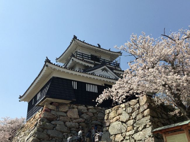 浜松城の桜が満開ということで見に行ってきました。ちょうど浜松城公園桜まつり(3/25~4/8)が開催されていて、平日にもかかわらず公園内は家族連れでにぎわっていました。うなぎも食べてきました♪