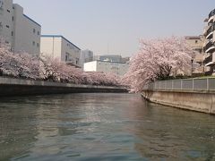 2018年3月  桜満開！お花見クルーズ