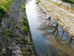 旧久喜市の桜スポットを巡る・・・6-2　北１丁目中落掘川畔の桜