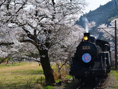 桜とSL　2018.03.26 =3.家山・桜トンネル付近を散策・後編=