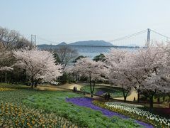 下関の老人会で花見―火の山と麓のトルコ・チューリップ園－（追加版）