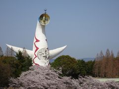 万博記念公園の桜