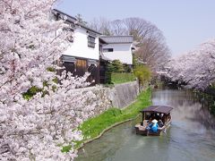 滋賀県民になって2年半経ってもまだまだ旅行気分の、2週末連続で滋賀散策 - 2018年春 編