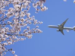 2018春の成田空港あそぶ旅vol.1（成田市さくらの山公園）