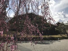 山梨県の城跡巡り：甲府城跡