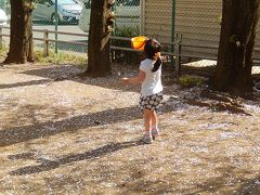 西鶴ケ岡公園の散りゆく桜