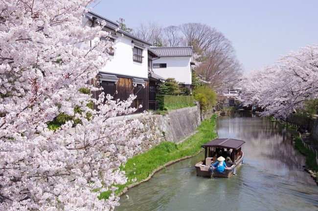 滋賀県民になって2年半経ってもまだまだ旅行気分の、2週末連続で滋賀散策 - 2018年春 編