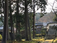 初琵琶湖に、三井寺さんぽ