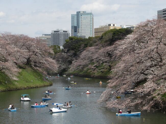 うららかな陽気に誘われて、桜の名所巡り。