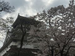 小倉城 桜まつり  皿倉山 日帰り一人旅