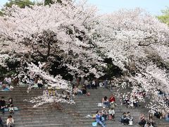 桜に包まれた山崎川　四季の道をお散歩　おいしい紅はるかの焼き芋　Petit　gouterのスイーツ＆ジャム　個性が光る「かるだもん」のカレー