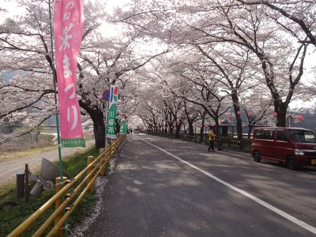 　「川根は桜まつりの真っ最中・・」との情報がラジオから流れてきます。<br />　今年は例年にない寒さが続いていたのに、急に桜が咲き出して、あっという間に満開になってしまった3月の末。<br />　私たち老夫婦は、その川根の道の駅で車中泊をしようとしています。<br />　5ヶ月間も車庫で眠っていたエブリイを引き出して、いざ出発！　<br />　桜のことは頭になかったけど、桜まつりとはラッキーです。<br />　<br />　