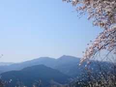 お散歩系ハイキング  官ノ倉山・ついでに石尊山(桜・つつじ・鎖場) in埼玉県・小川町