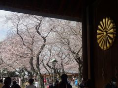 お花見 2018 ＊ 靖国神社～外濠公園 編 ＊